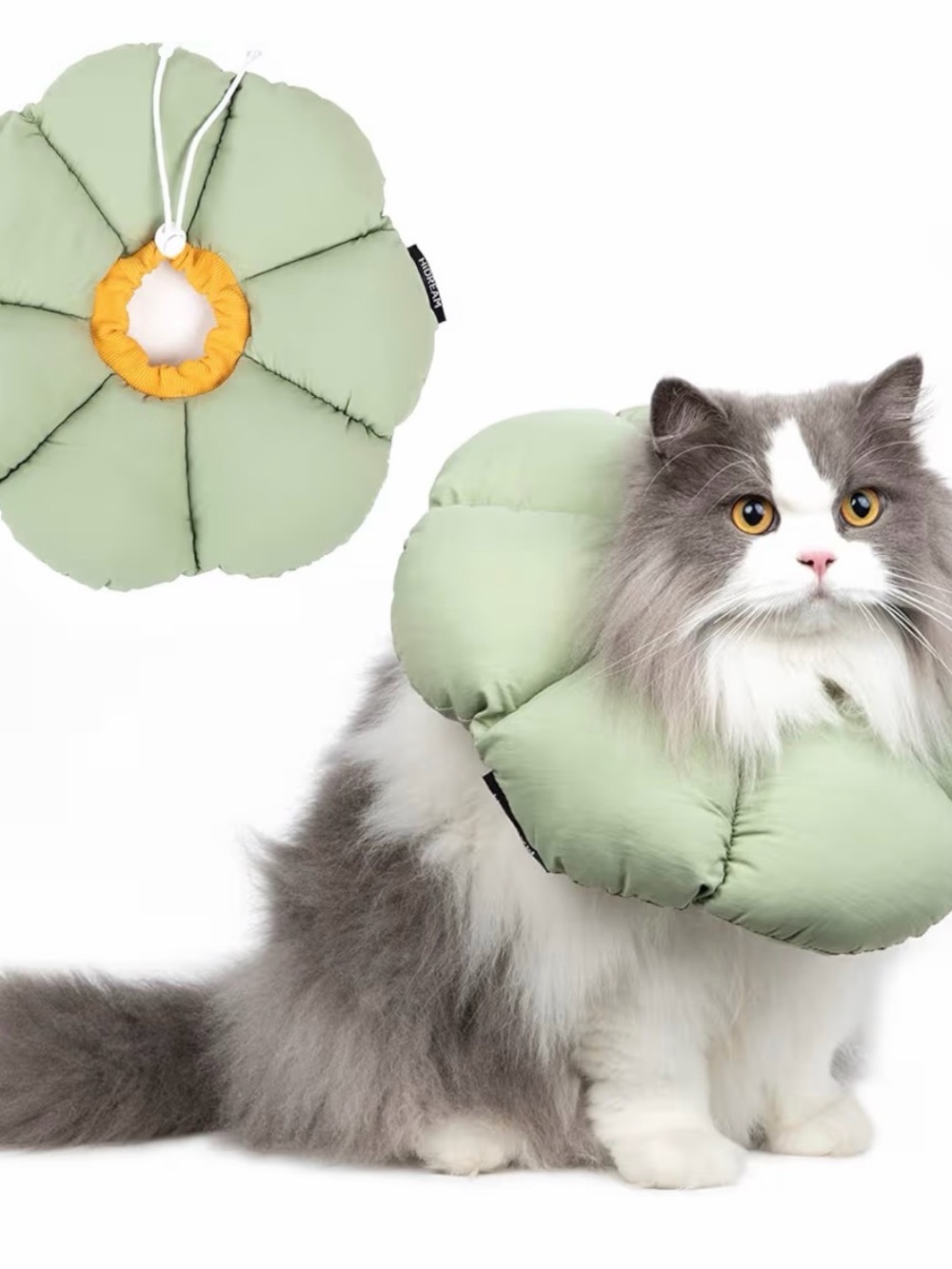 Soft Pet Recovery Collar for Cats - Sage Green -